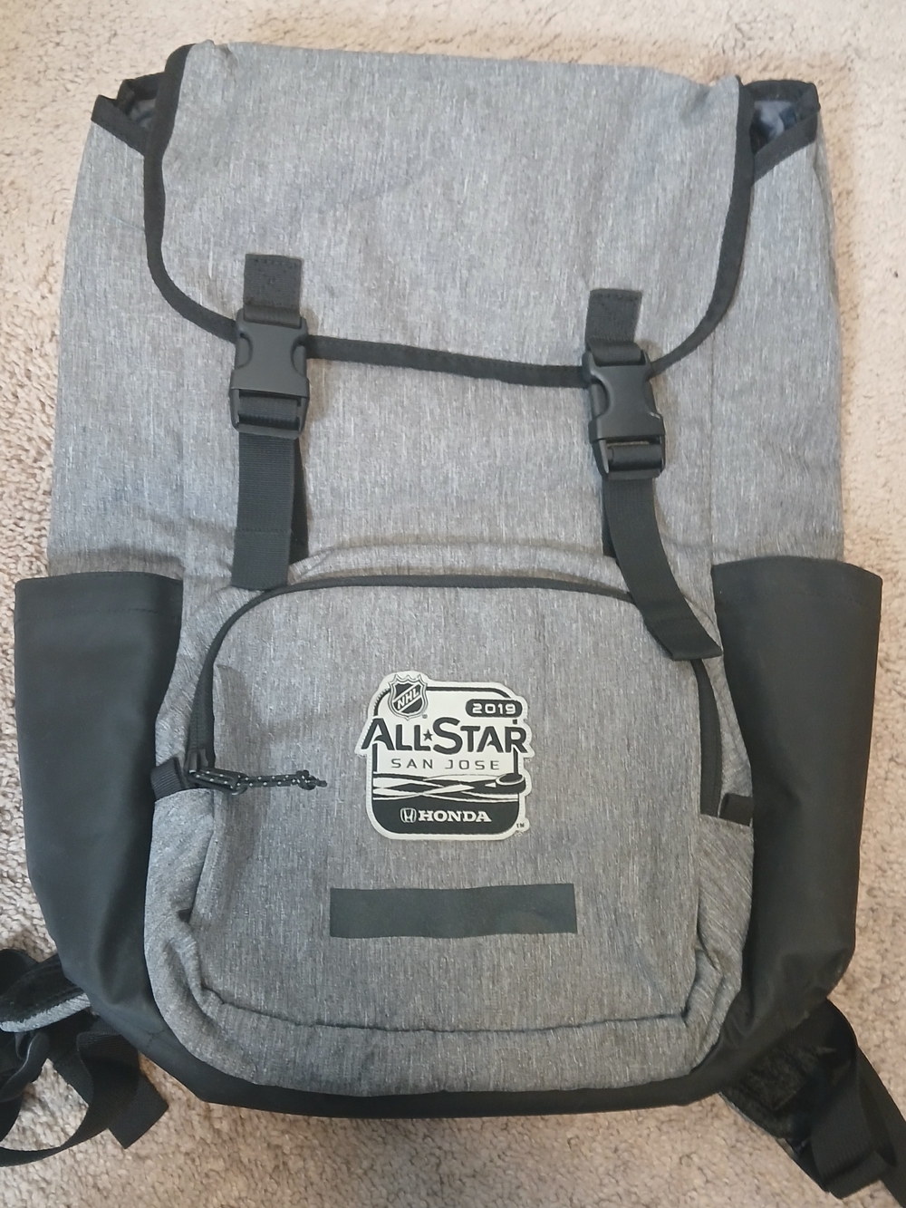 Gray NHL All-Star Logo Large Hiking Backpack